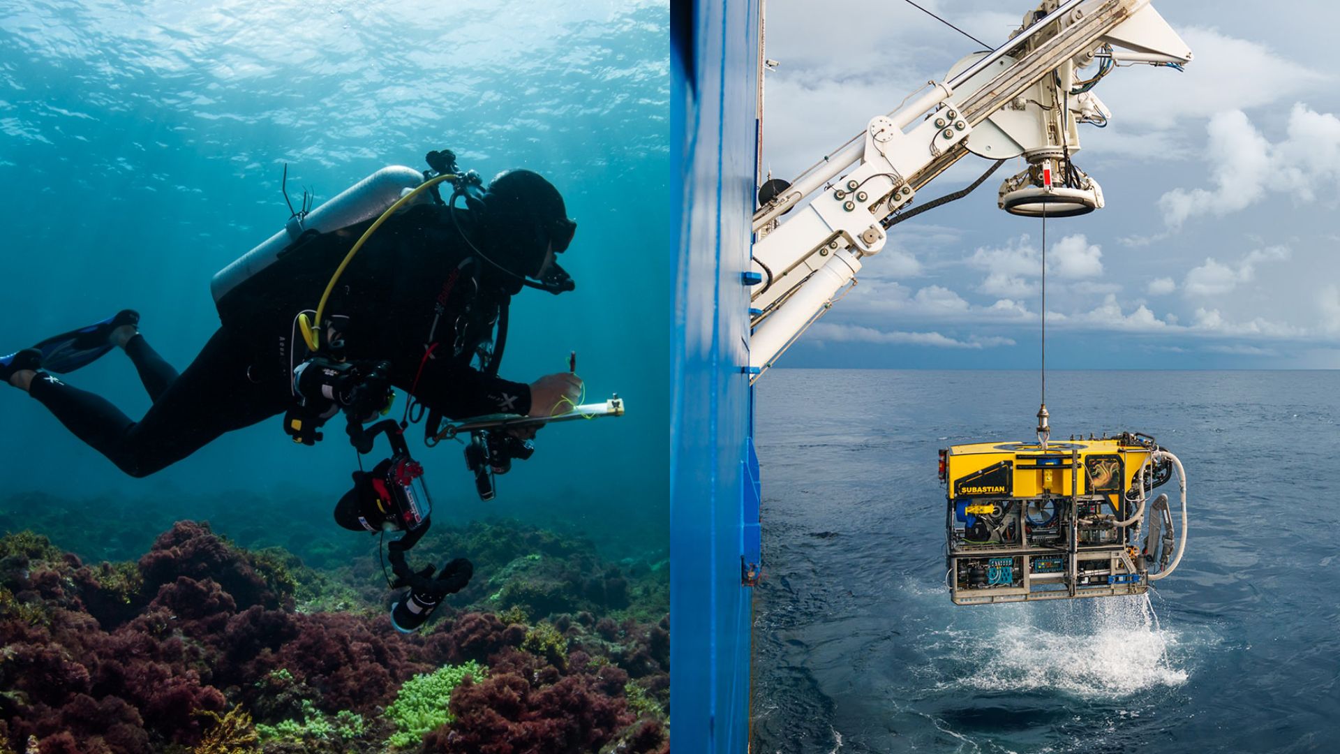 Diver vs ROV in the AI Era: Why Underwater Surveys Still Need Human Eyes and Hands